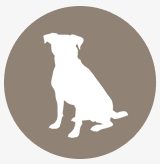 kastreinghund.se logga